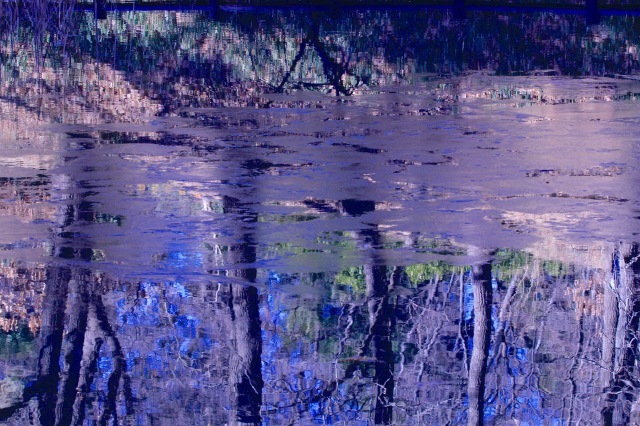 a0248459_15245834.jpg