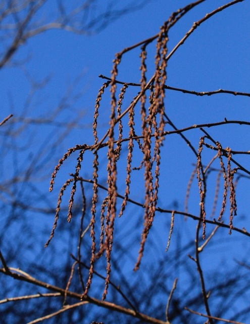a0248459_15302909.jpg