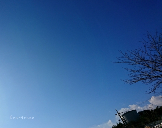 空はいいな。_d0362666_21515701.jpg