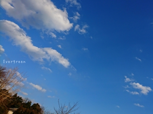 空はいいな。_d0362666_22333838.jpg