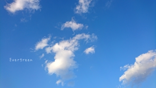 d0362666_22430609.jpg