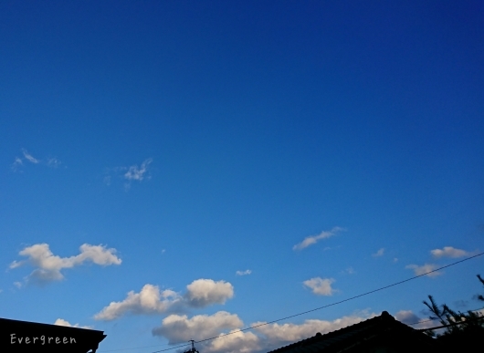 d0362666_22454344.jpg