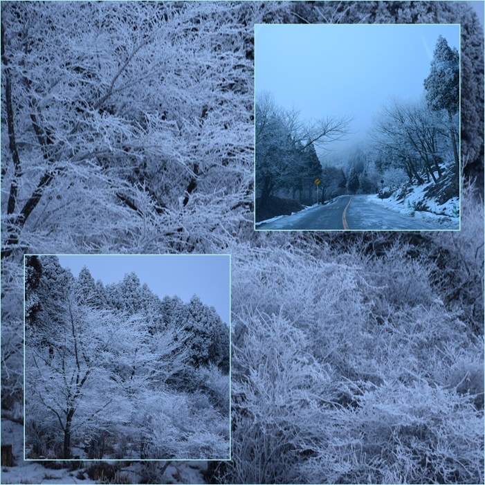 阿蘇大観峰での御来光鑑賞と雪の草千里周回。_f0016066_22161369.jpg