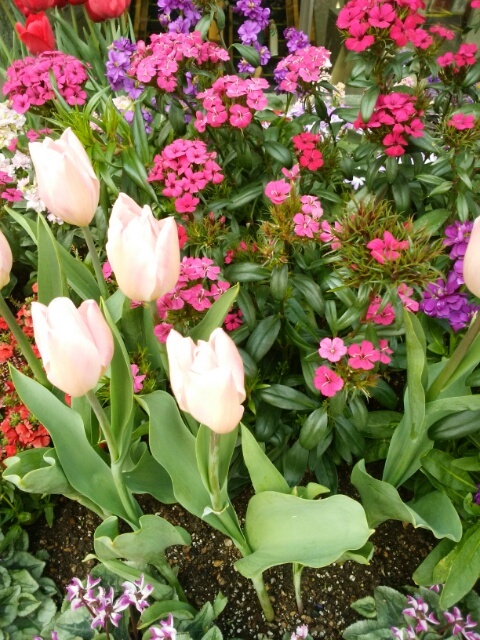 f0200871_12302.jpg