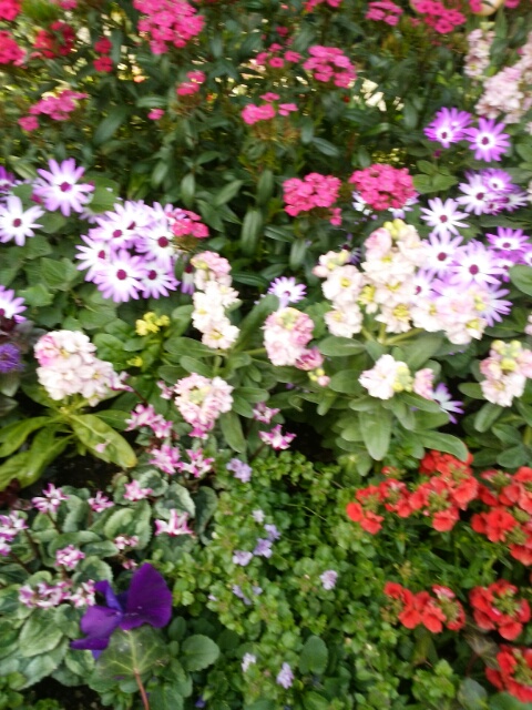 f0200871_123020.jpg