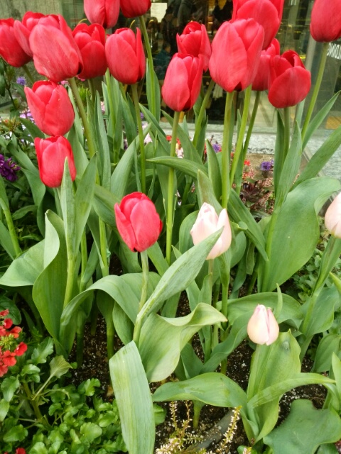 f0200871_123056.jpg