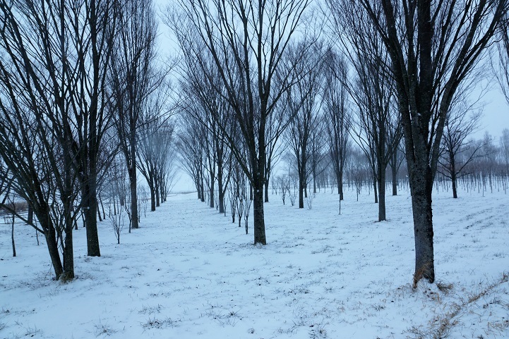 c0248473_15263850.jpg