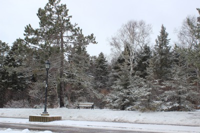 c0353373_21531330.jpg