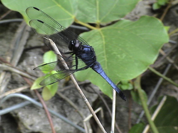 a0268377_15515579.jpg