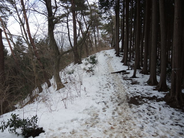 今年二度目の山は景信山_e0232277_13594255.jpg