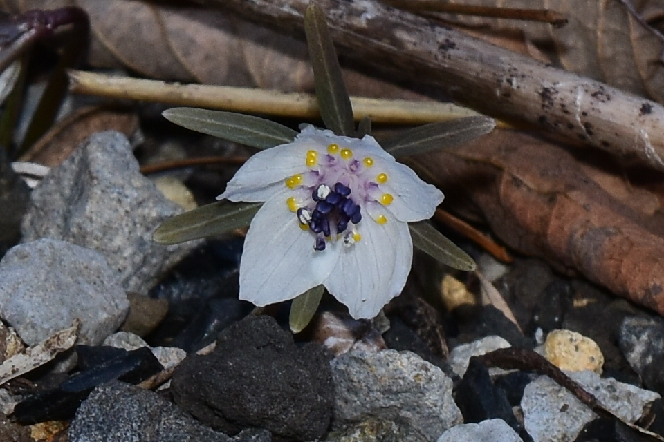 f0348480_12283275.jpg