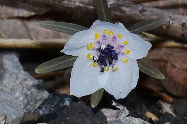 f0348480_12285825.jpg