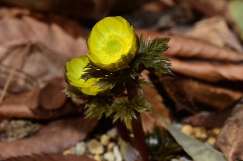 f0348480_12372522.jpg