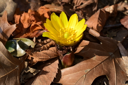 f0348480_12382530.jpg