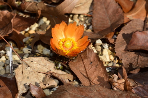 f0348480_12434515.jpg