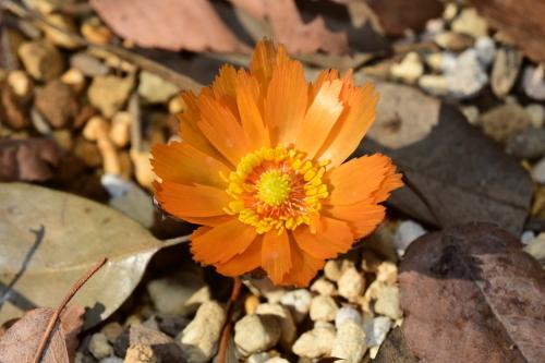 f0348480_12450153.jpg