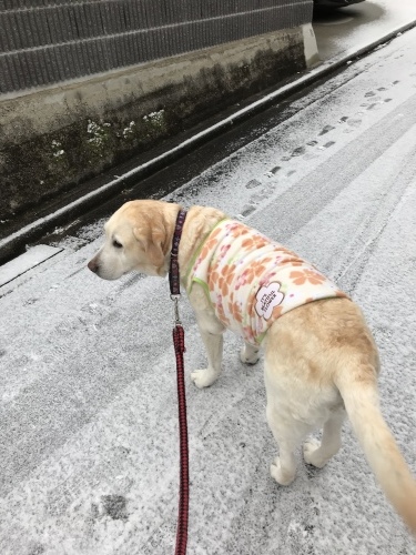 f0315081_22191655.jpeg