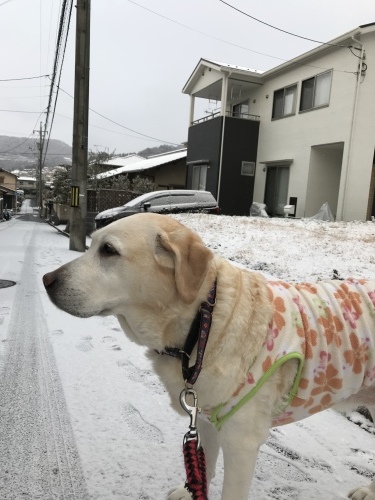 f0315081_22210850.jpeg