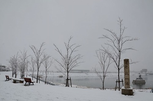 c0229483_10245154.jpg