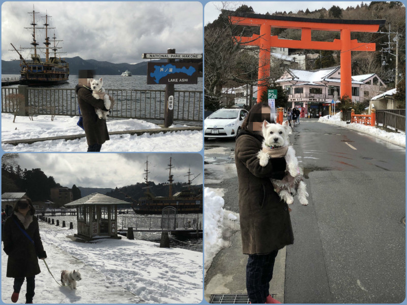 初❗️カーロフォレスタ元箱根ルチア　＞＞＞　2018/2/3（土）_e0110888_10374743.jpg