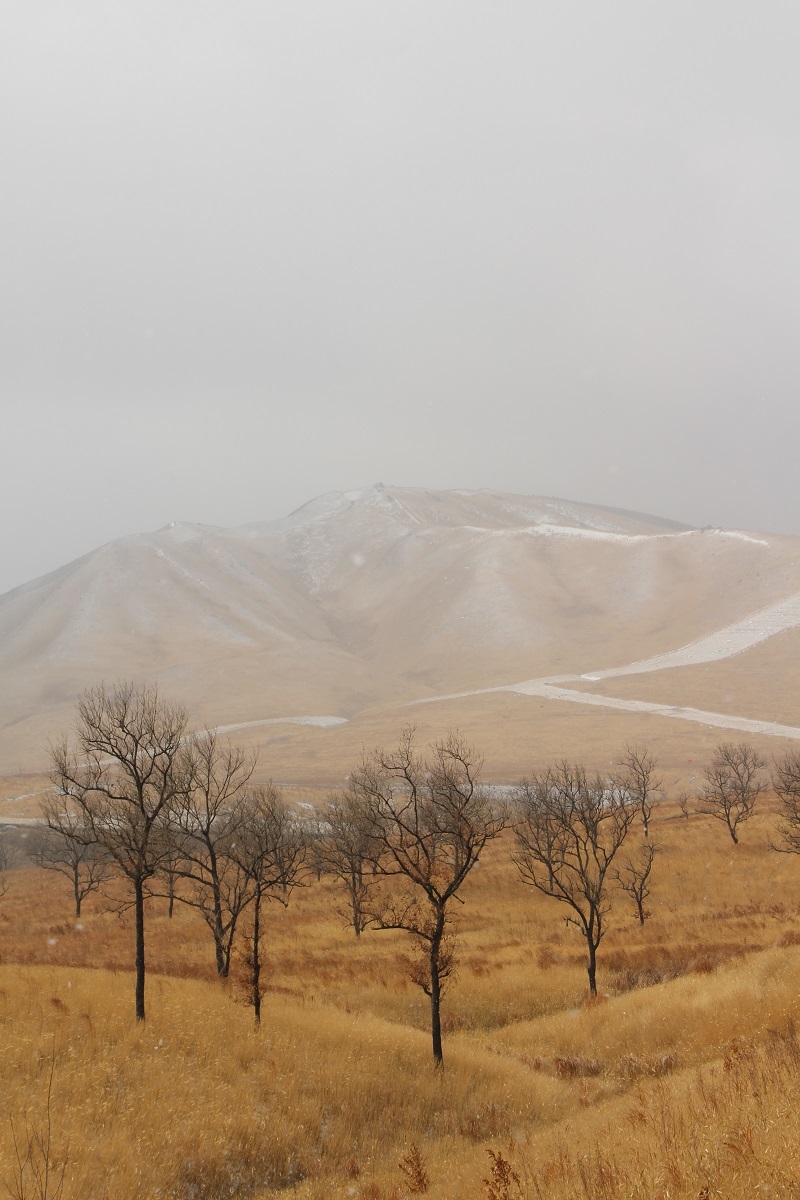 冬景色_a0333195_16235881.jpg