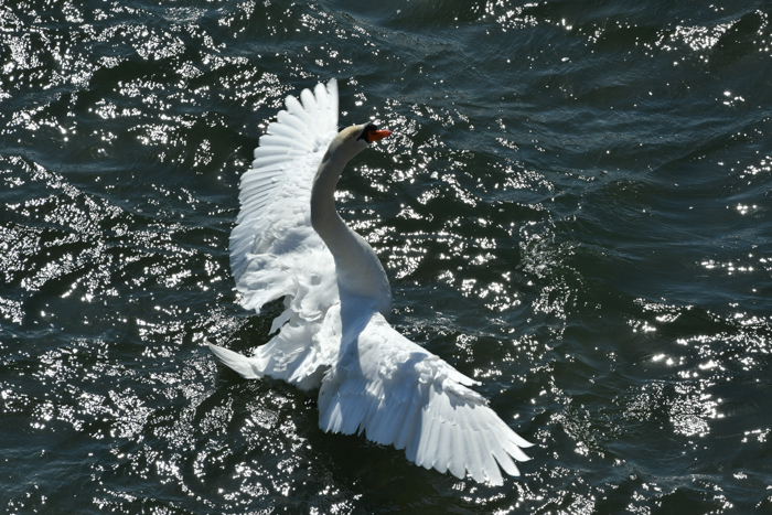 c0049299_22404693.jpg