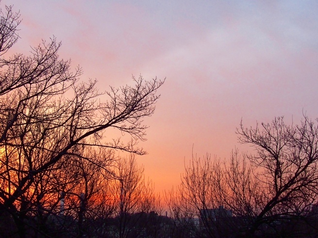 c0362401_16222353.jpg