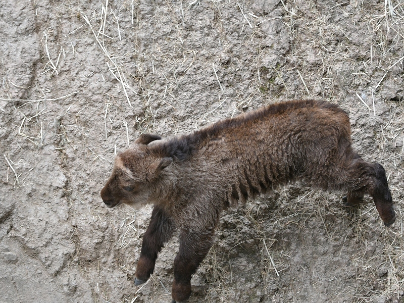 a0164204_12450821.jpg