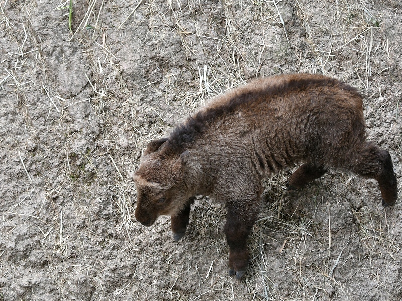 a0164204_12450997.jpg