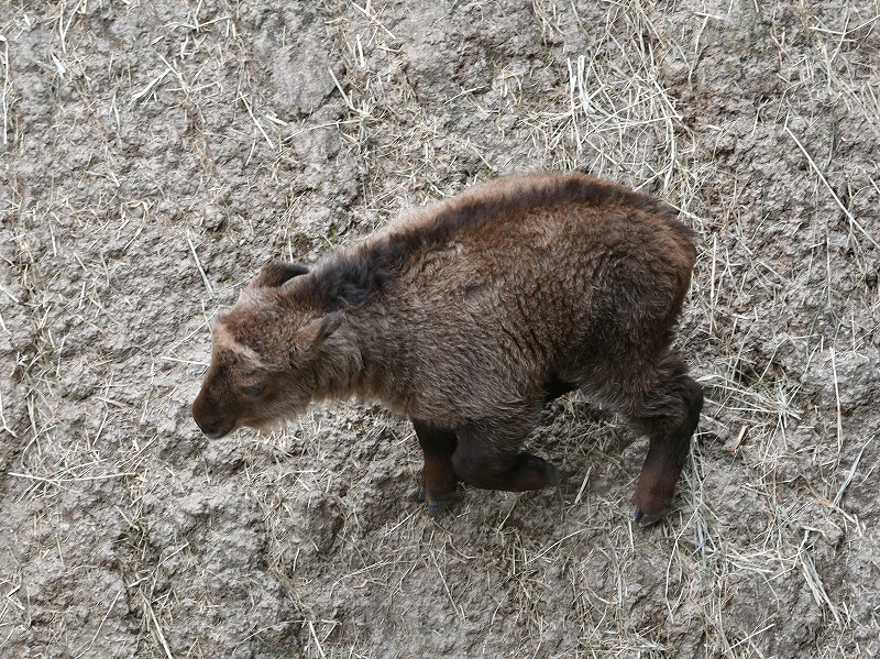 a0164204_12450999.jpg