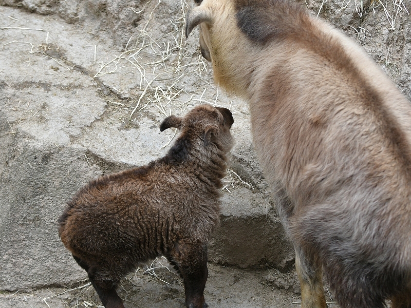 a0164204_13411443.jpg