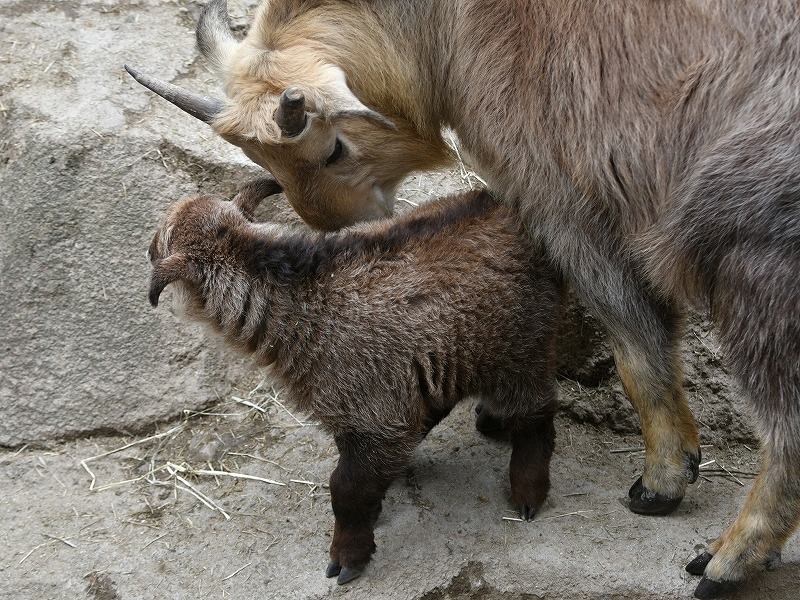 a0164204_13425012.jpg