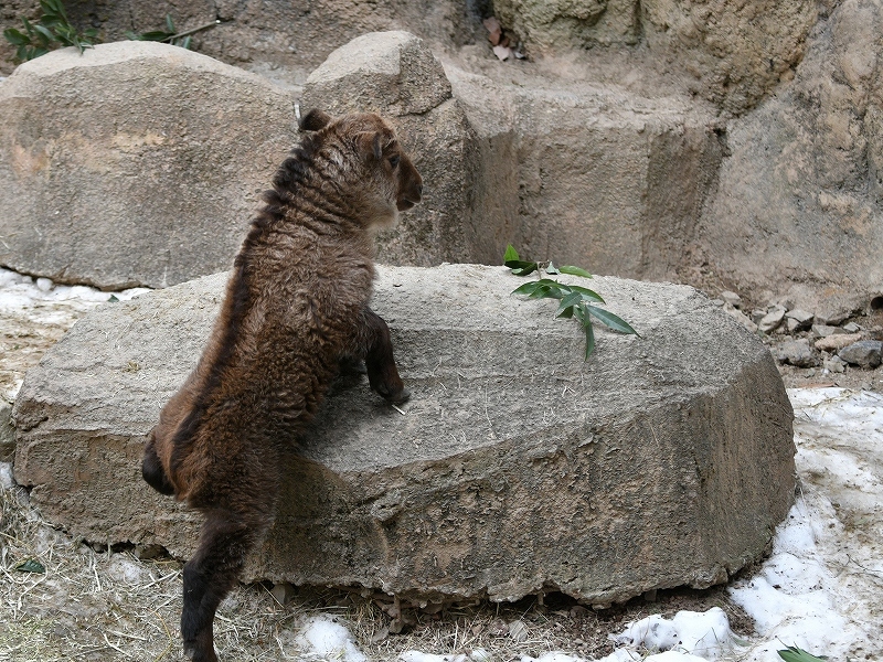 a0164204_13441108.jpg