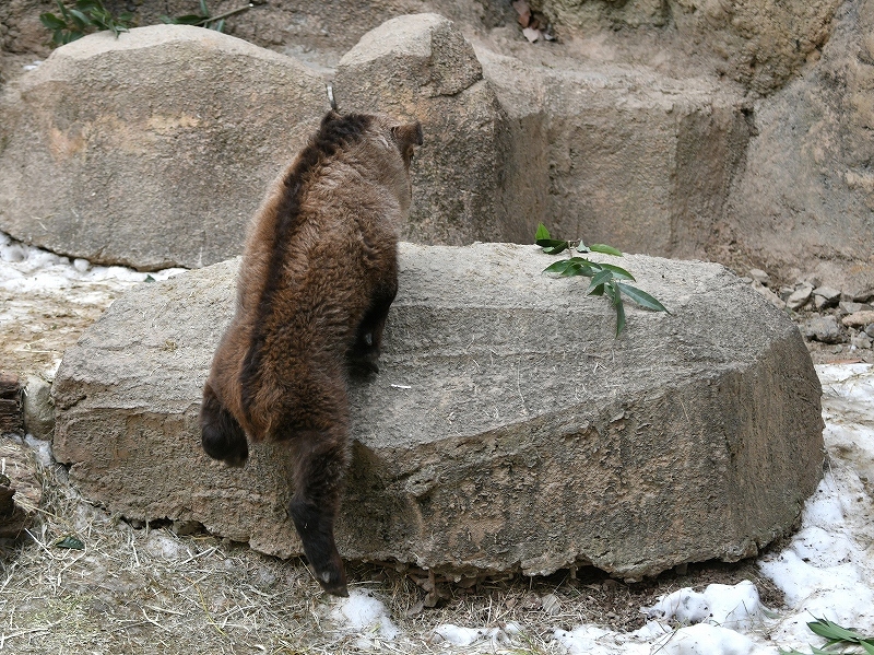 a0164204_13451031.jpg