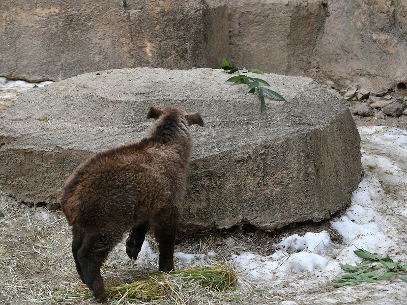 a0164204_13451044.jpg