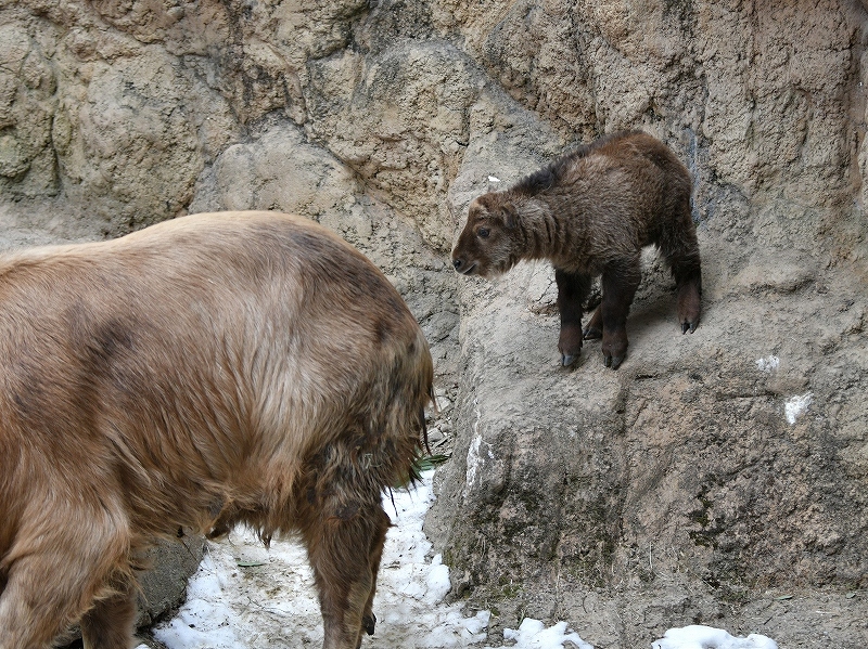 a0164204_13502529.jpg