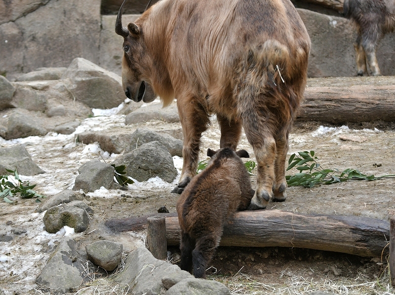 a0164204_13513927.jpg
