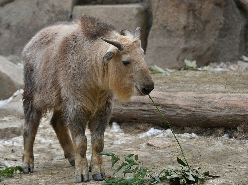 a0164204_13530620.jpg