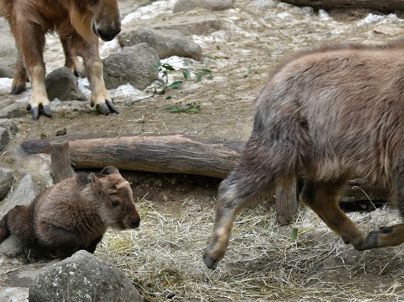 a0164204_13561206.jpg
