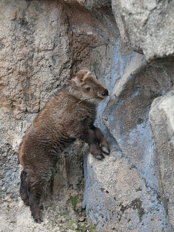 a0164204_13570850.jpg