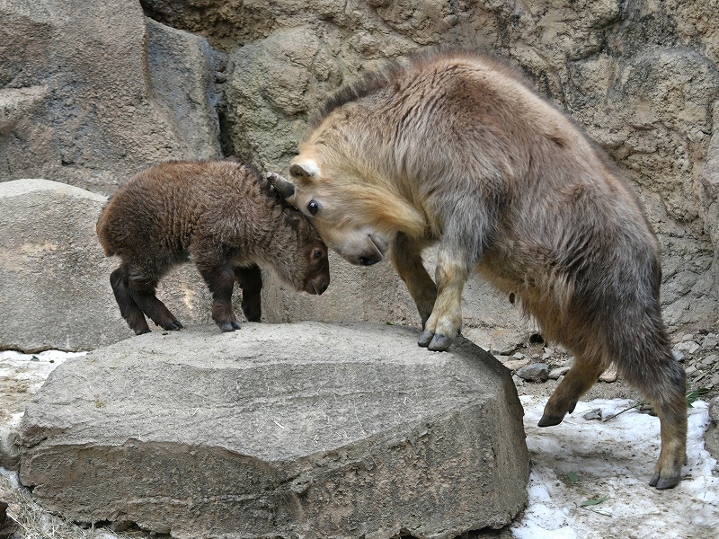 a0164204_13581900.jpg