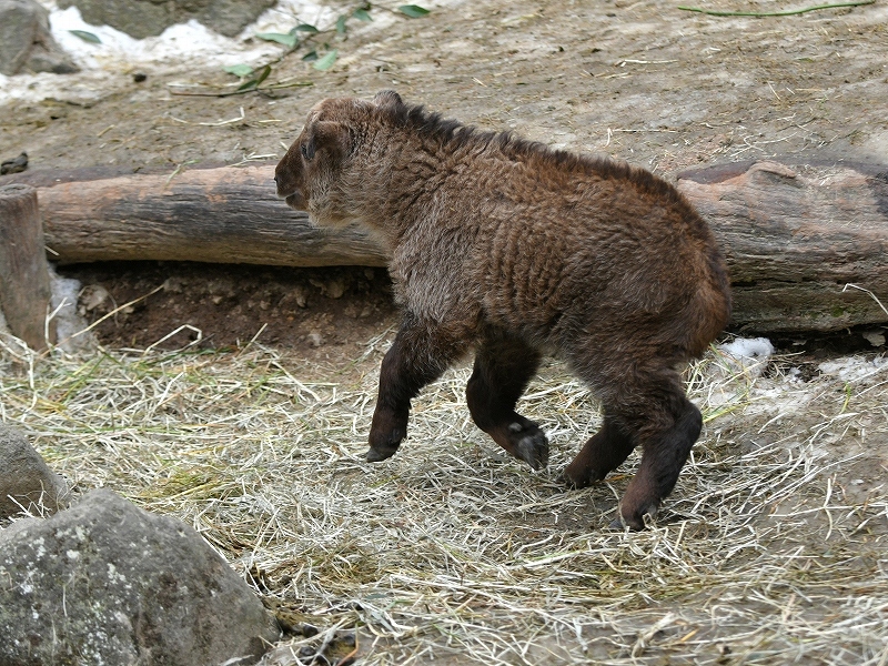 a0164204_13592436.jpg