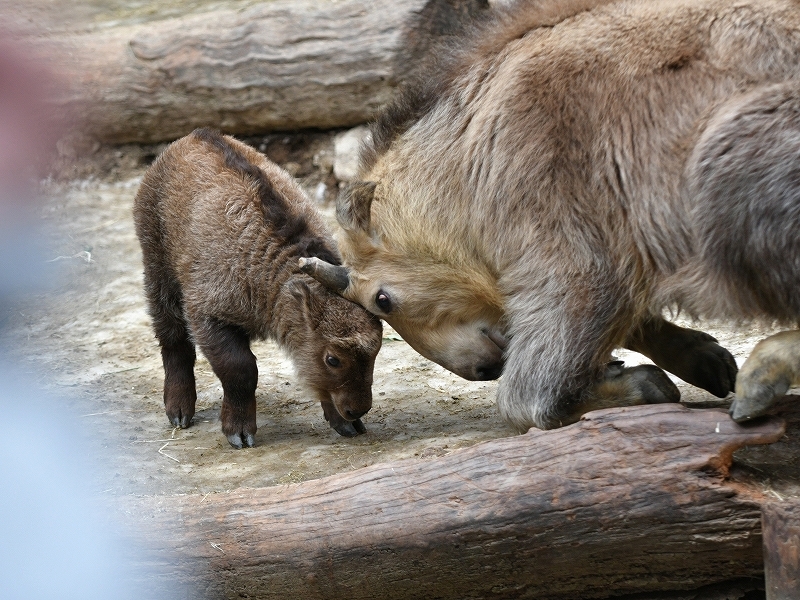 a0164204_14010839.jpg