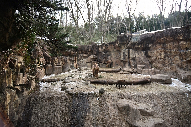 a0164204_14061900.jpg