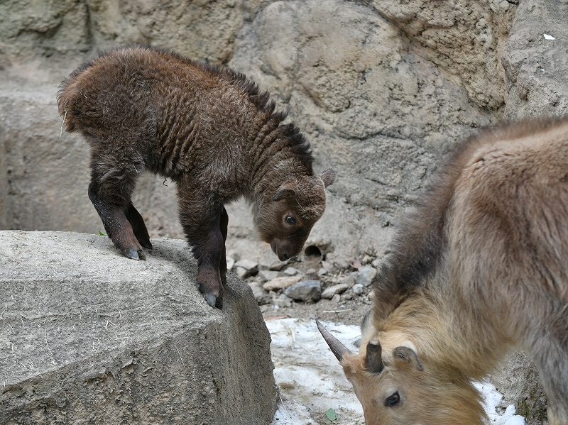 a0164204_14061945.jpg