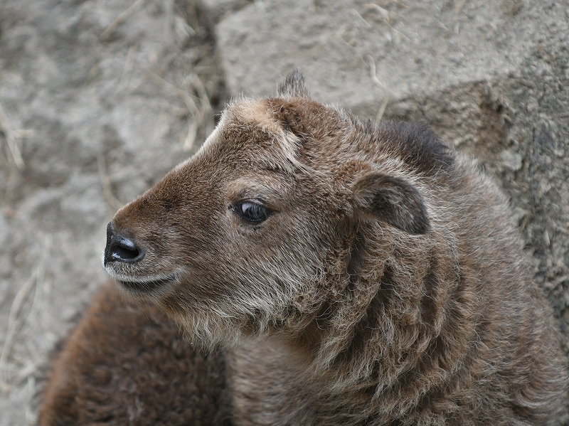a0164204_14070971.jpg