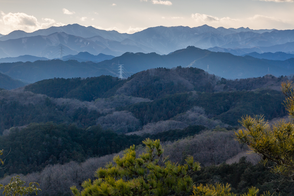 今日の散歩写真_b0010915_20184999.jpg