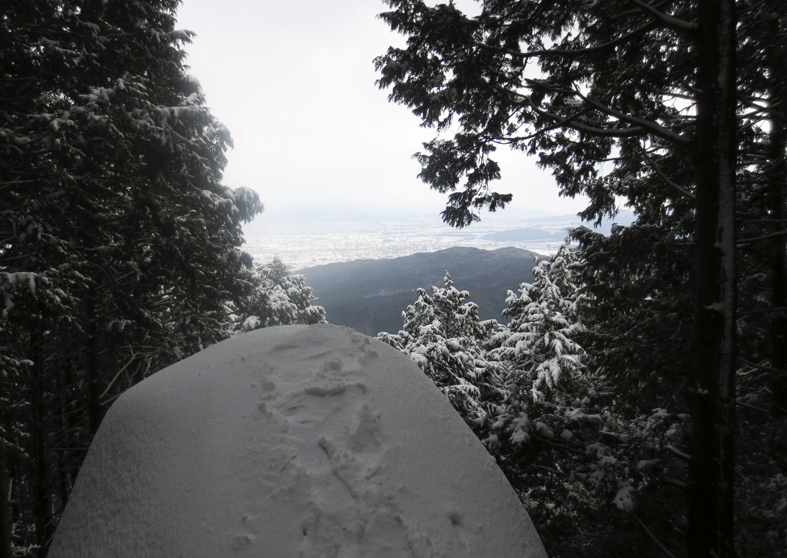 ■「犬は歓び庭駆け回り…」風の積雪油山行_d0190217_11384293.jpg