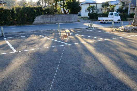 b0310424_20293865.jpg