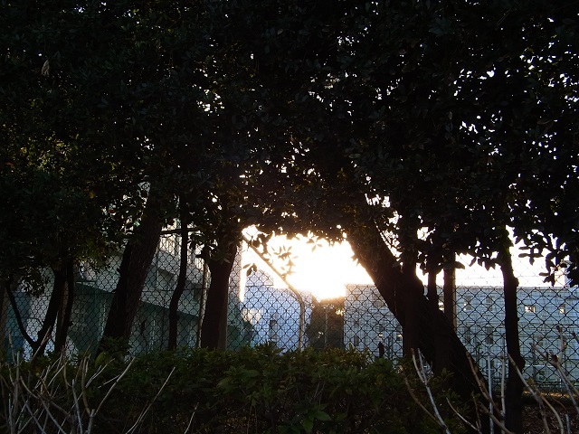 a0087341_07032415.jpg